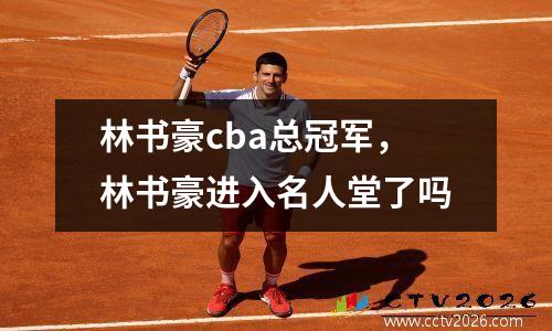 林书豪cba总冠军，林书豪进入名人堂了吗