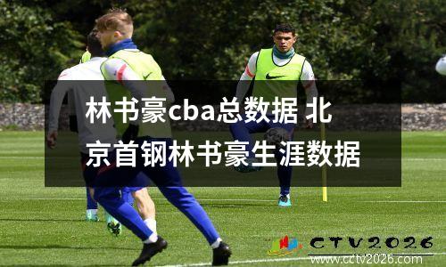 林书豪cba总数据 北京首钢林书豪生涯数据