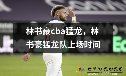 林书豪cba猛龙，林书豪猛龙队上场时间