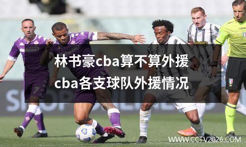 林书豪cba算不算外援 cba各支球队外援情况