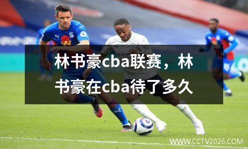 林书豪cba联赛，林书豪在cba待了多久