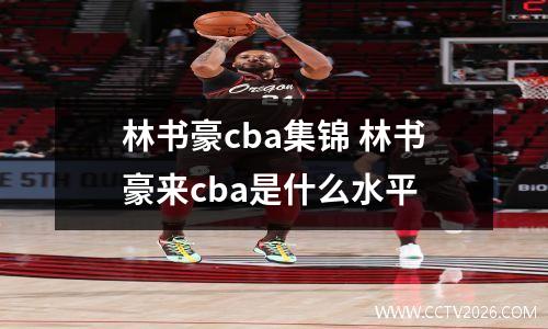 林书豪cba集锦 林书豪来cba是什么水平