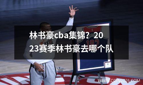 林书豪cba集锦？2023赛季林书豪去哪个队