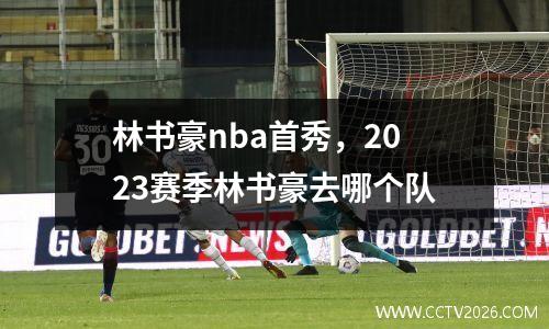 林书豪nba首秀，2023赛季林书豪去哪个队