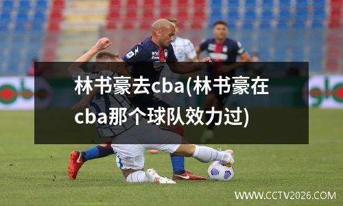 林书豪去cba(林书豪在cba那个球队效力过)