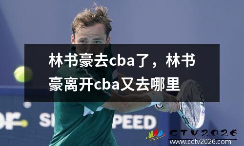 林书豪去cba了，林书豪离开cba又去哪里