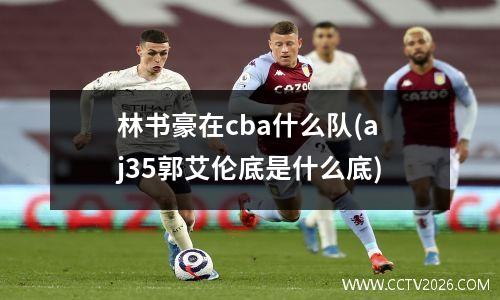 林书豪在cba什么队(aj35郭艾伦底是什么底)