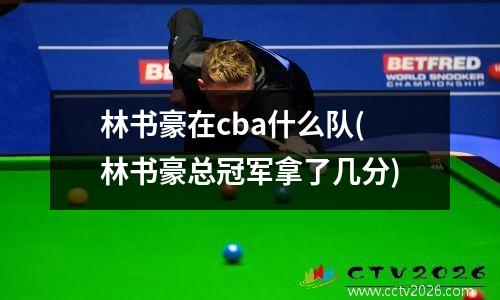 林书豪在cba什么队(林书豪总冠军拿了几分)