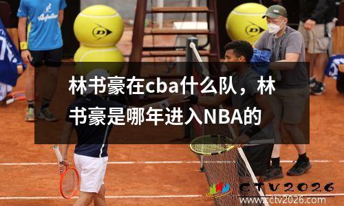林书豪在cba什么队，林书豪是哪年进入NBA的