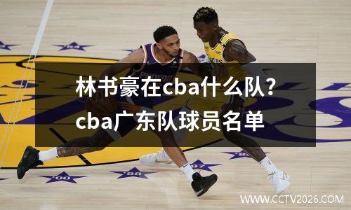 林书豪在cba什么队？cba广东队球员名单