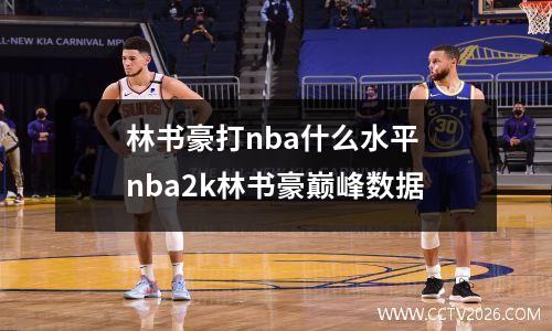 林书豪打nba什么水平 nba2k林书豪巅峰数据