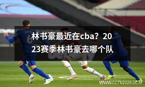 林书豪最近在cba？2023赛季林书豪去哪个队