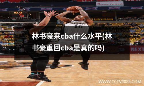 林书豪来cba什么水平(林书豪重回cba是真的吗)