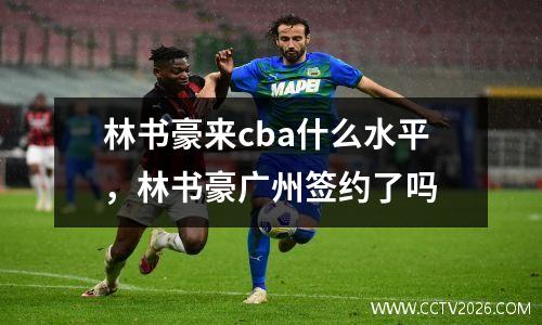 林书豪来cba什么水平，林书豪广州签约了吗