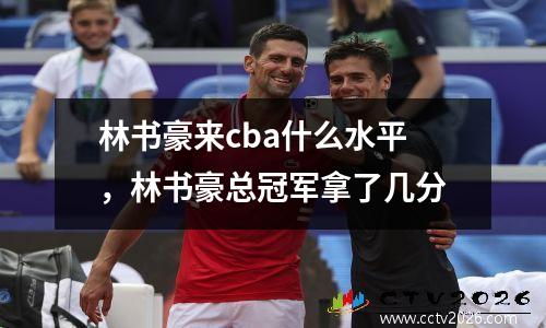 林书豪来cba什么水平，林书豪总冠军拿了几分