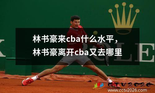 林书豪来cba什么水平，林书豪离开cba又去哪里