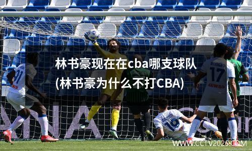 林书豪现在在cba哪支球队(林书豪为什么不打CBA)