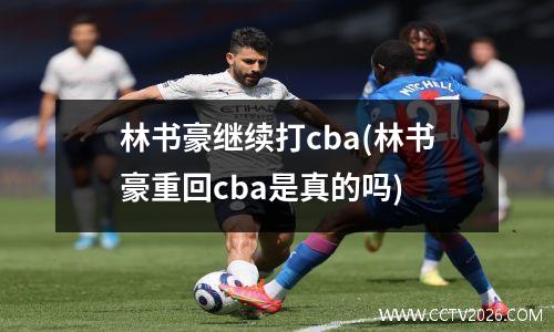 林书豪继续打cba(林书豪重回cba是真的吗)