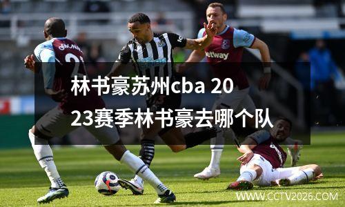 林书豪苏州cba 2023赛季林书豪去哪个队