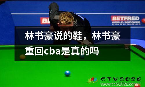 林书豪说的鞋，林书豪重回cba是真的吗