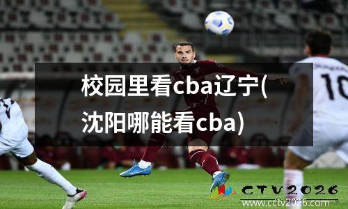 校园里看cba辽宁(沈阳哪能看cba)
