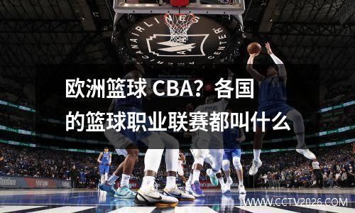 欧洲篮球 CBA？各国的篮球职业联赛都叫什么