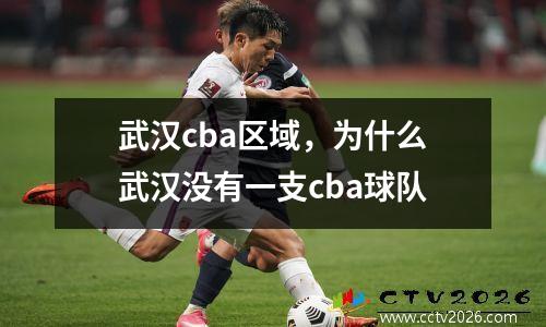 武汉cba区域，为什么武汉没有一支cba球队