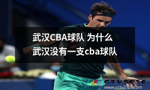 武汉CBA球队 为什么武汉没有一支cba球队