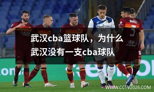 武汉cba篮球队，为什么武汉没有一支cba球队