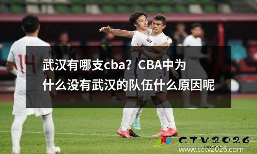 武汉有哪支cba？CBA中为什么没有武汉的队伍什么原因呢