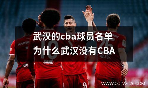 武汉的cba球员名单 为什么武汉没有CBA