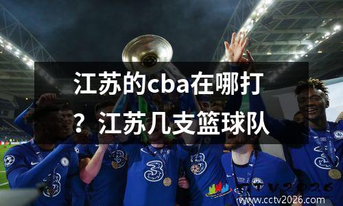 江苏的cba在哪打？江苏几支篮球队