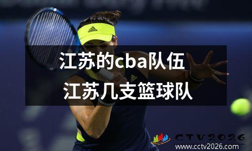 江苏的cba队伍 江苏几支篮球队