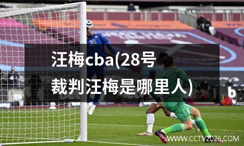 汪梅cba(28号裁判汪梅是哪里人)