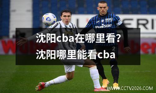 沈阳cba在哪里看？沈阳哪里能看cba