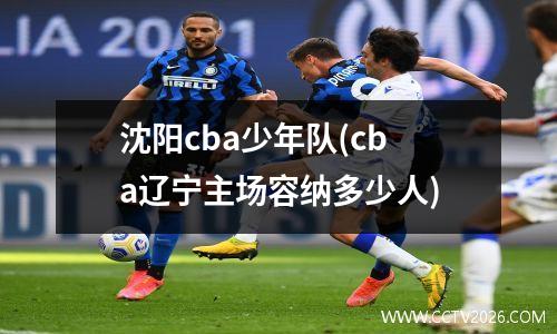 沈阳cba少年队(cba辽宁主场容纳多少人)