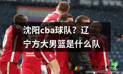 沈阳cba球队？辽宁方大男篮是什么队