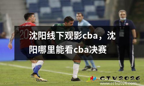沈阳线下观影cba，沈阳哪里能看cba决赛