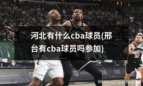 河北有什么cba球员(邢台有cba球员吗参加)