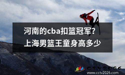河南的cba扣篮冠军？上海男篮王童身高多少