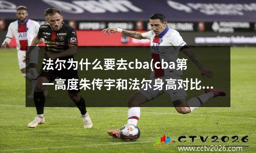 法尔为什么要去cba(cba第一高度朱传宇和法尔身高对比)