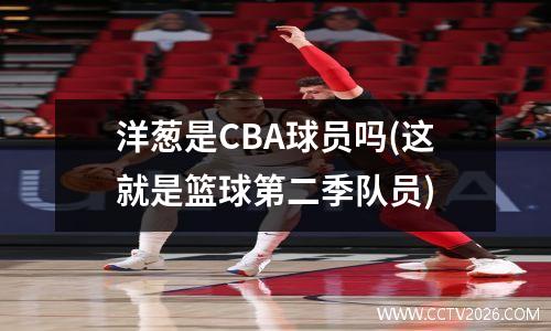 洋葱是CBA球员吗(这就是篮球第二季队员)
