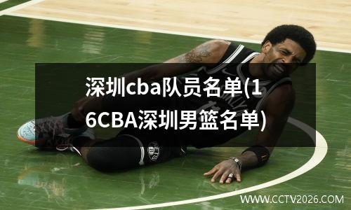 深圳cba队员名单(16CBA深圳男篮名单)