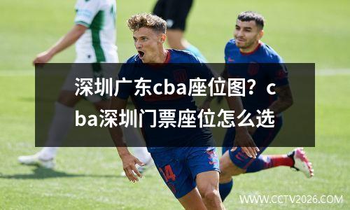 深圳广东cba座位图？cba深圳门票座位怎么选