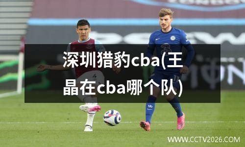 深圳猎豹cba(王晶在cba哪个队)