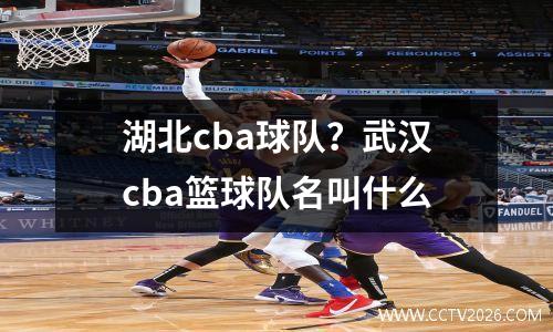 湖北cba球队？武汉cba篮球队名叫什么