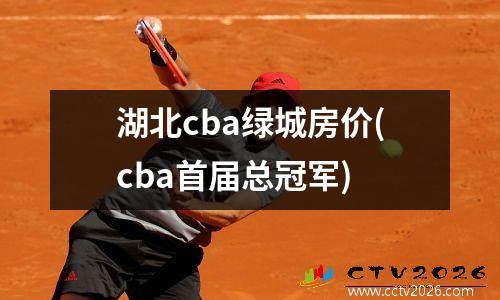 湖北cba绿城房价(cba首届总冠军)