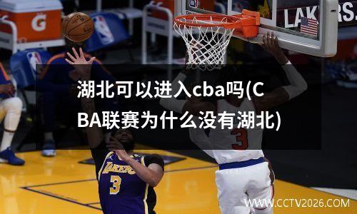 湖北可以进入cba吗(CBA联赛为什么没有湖北)