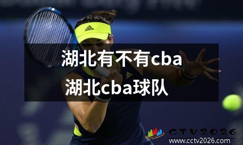 湖北有不有cba 湖北cba球队