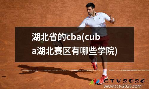 湖北省的cba(cuba湖北赛区有哪些学院)